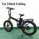 Electric Bike Manufacturer - 24 Inch Fat Tire Folding