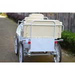 Horse Carriage Factory - Steel Sightseeing Wagon