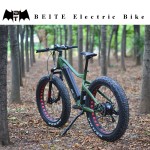 Ebike Manufacturer - Factory Direct Electric Bike