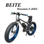 Ebike Manufacturer - High Speed CE Approved