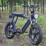 Electric Scooter Manufacturer - Dual Chopper Retro