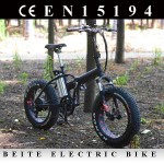 Electric Bike Factory - Israel Big Wheel Foldable