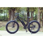 Ebike Manufacturer - High Speed CE Approved
