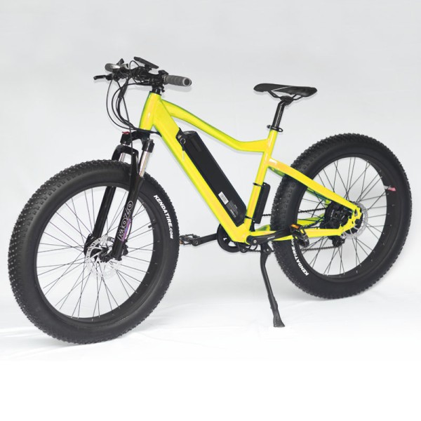 Electric Bike Manufacturer - 1000W CE Certified Fat Tire