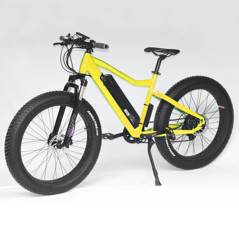 Electric Bike Manufacturer - 1000W CE Certified Fat Tire