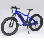 Electric Mountain Bike Factory - 26 Inch 750W Fat Tire