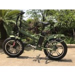 Electric Bike Manufacturer - 24 Inch Fat Tire Folding