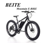 Ebike Manufacturer - High Speed CE Approved