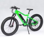 Electric Bike Manufacturer - 1000W CE Certified Fat Tire