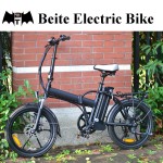 Electric Bike Manufacturer - Classical Folding CE Ebike