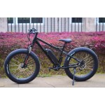 Ebike Manufacturer - Throttle Control Fat Tire