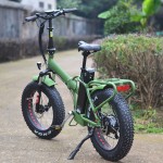 Ebike Factory - 48V 500W Bafang Folding