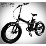 Electric Bike Factory - Samsung Battery Fat Tire