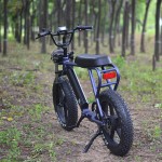 Electric Scooter Manufacturer - Dual Chopper Retro