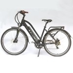 Electric Bike Manufacturer - Women Powered Ebike