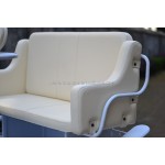 Horse Carriage Factory - Steel Sightseeing Wagon