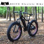 Electric Mountain Bike Factory - 26 Inch 750W Fat Tire