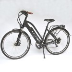 Electric Bike Manufacturer - Women Powered Ebike