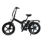 Ebike Factory - TUV Certified Folding Fat Tire