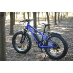 Electric Bike Manufacturer - Twist Throttle Control