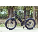 Ebike Manufacturer - Throttle Control Fat Tire