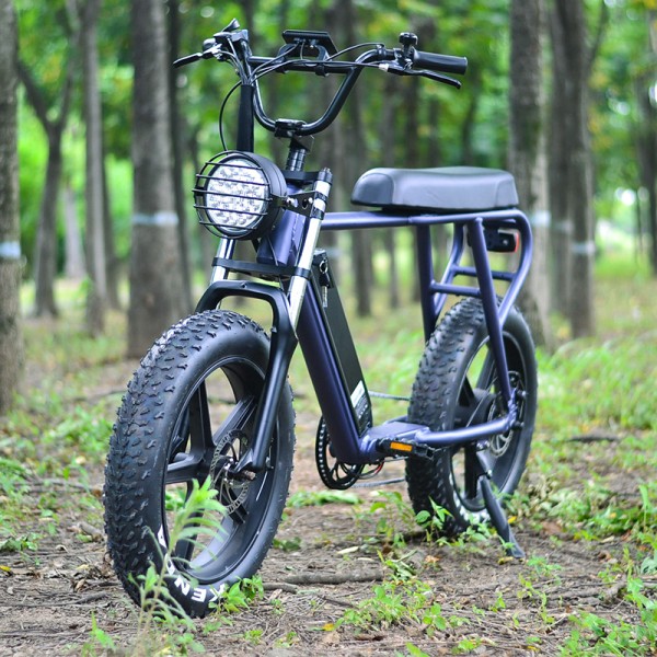 Electric Bike Manufacturer - 48V 500W Flat Seat Ebike