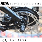 Electric Bike Factory - New 48V 750W Ebike