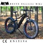 Ebike Manufacturer - 48V 750W Mozo Suspension