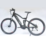 Ebike Manufacturer - Four Bar Linkage Full Suspension