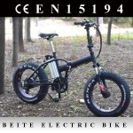 Electric Bike Factory - Israel Big Wheel Foldable