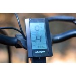 Electric Bike Manufacturer - 24 Inch Fat Tire Folding