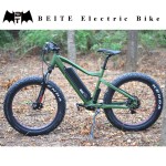 Ebike Manufacturer - Factory Direct Electric Bike