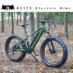 Ebike Manufacturer - 1500W Fat Mountain Electric Bike