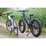 Ebike Manufacturer - Throttle Control Fat Tire
