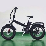 Electric Bike Manufacturer - All Cover Mudguard Fat Bike