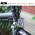 Electric Bike Manufacturer - Classical Folding CE Ebike