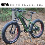 Electric Bike Factory - New 48V 750W Ebike