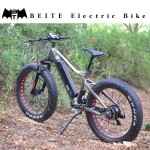 Electric Bike Factory - Big Power Modern Fat Ebike
