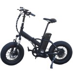 Ebike Factory - 16 Inch Small Folding Fat Bike