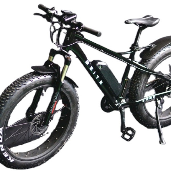 Ebike Factory - Fat Snow Bike Hydraulic Brake