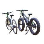 Ebike Factory - Fat Snow Bike Hydraulic Brake