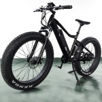 Ebike Factory - Integrated 48V Lithium Battery