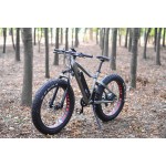 Electric Bike Manufacturer - 48V 1000W MTB Fat Tire