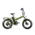 Electric Bike Manufacturer - 20 Inch Folding Fat Tire