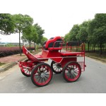Horse Carriage Manufacturer - Professional Marathon BTH-01