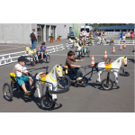 Children Cart Manufacturer - Double Seat Pedal Sulky