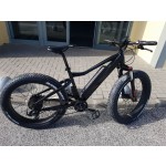 Electric Bike Manufacturer - 48V 1000W MTB Fat Tire