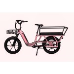 Electric Cargo Bike Factory - Long Cargo Ebike