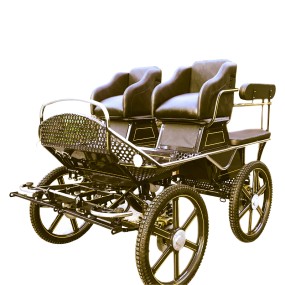 Horse Carriage Manufacturer - Durable Marathon Carriage