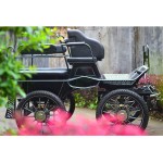 Horse Carriage Factory - Professional Marathon BTH-02